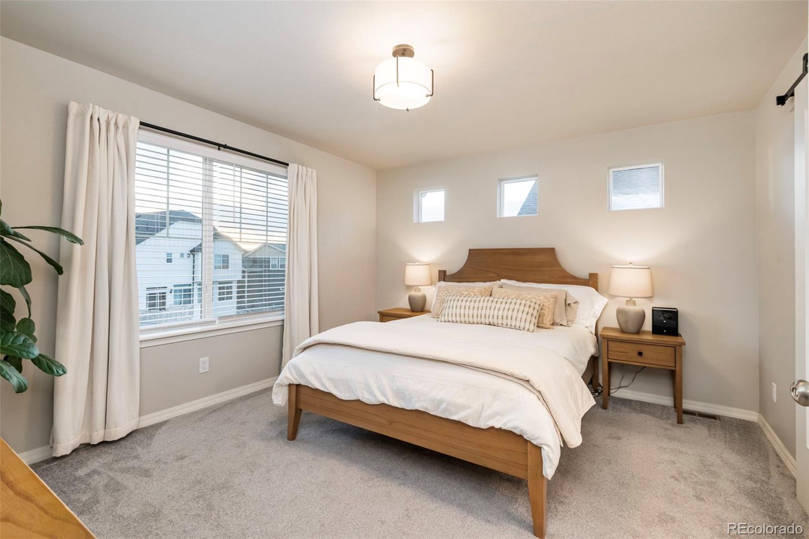 MLS Image #19 for 56  magnolia court,erie, Colorado