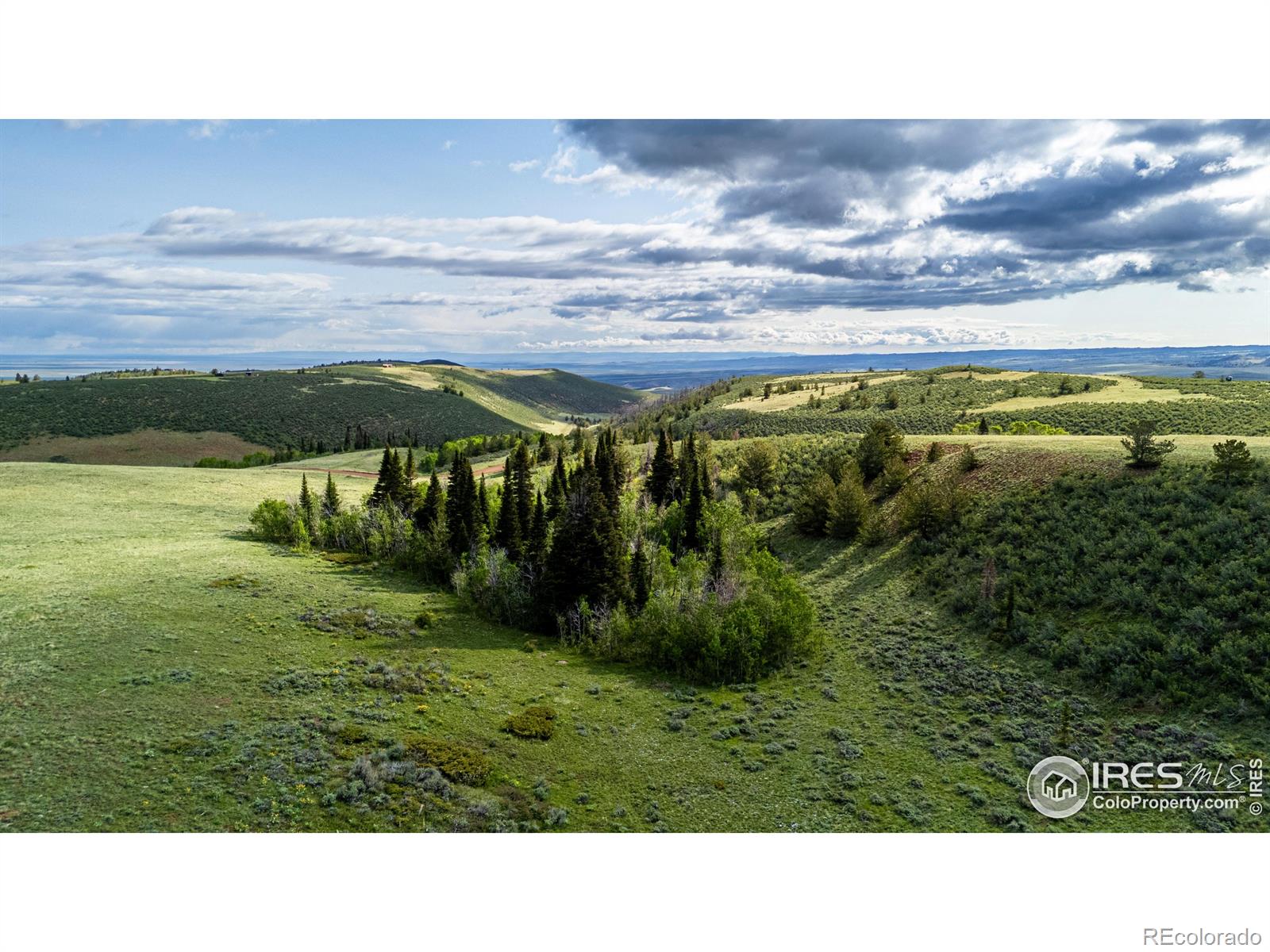 MLS Image #31 for 209  forb lane,red feather lakes, Colorado