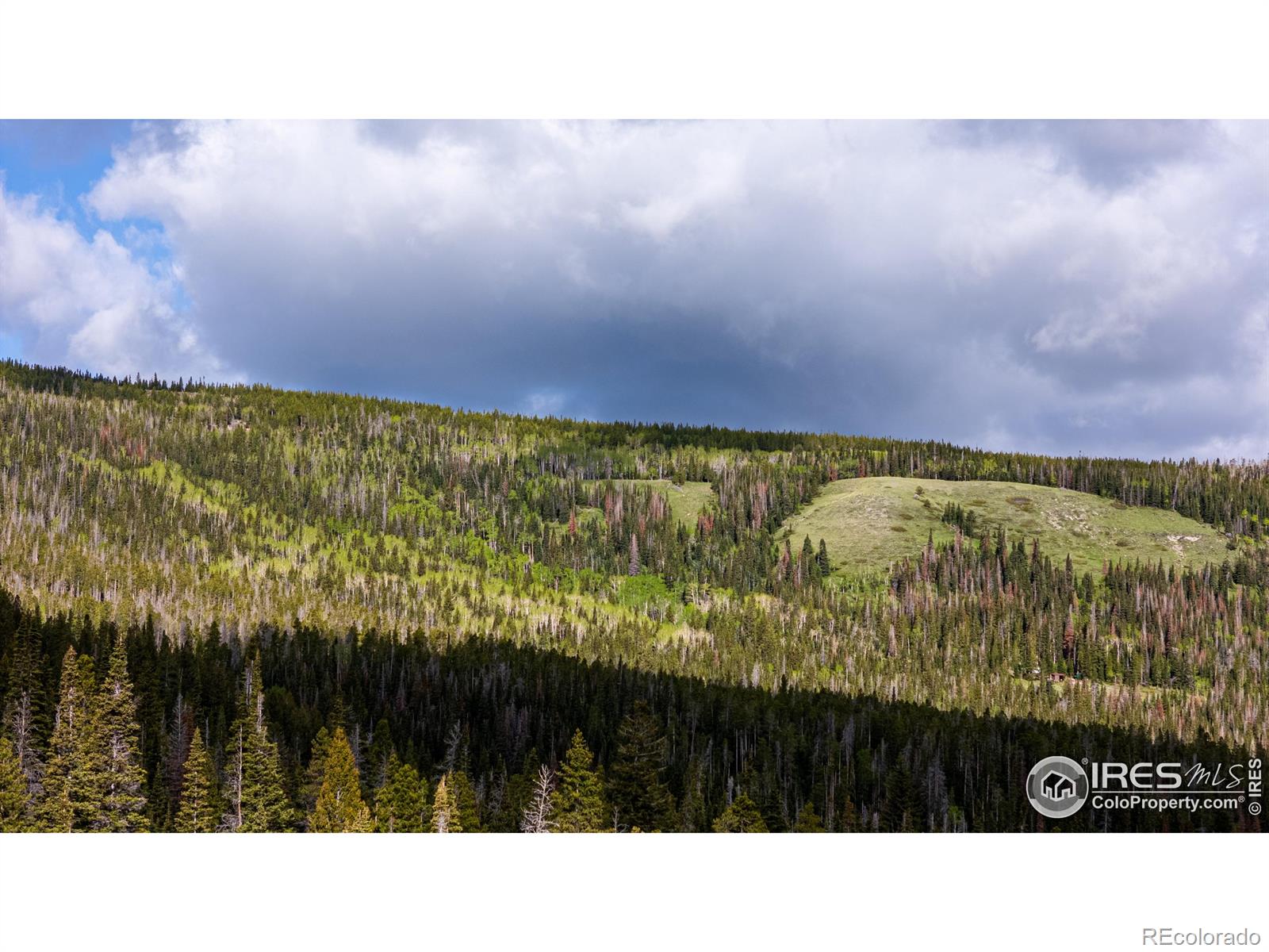 MLS Image #32 for 209  forb lane,red feather lakes, Colorado