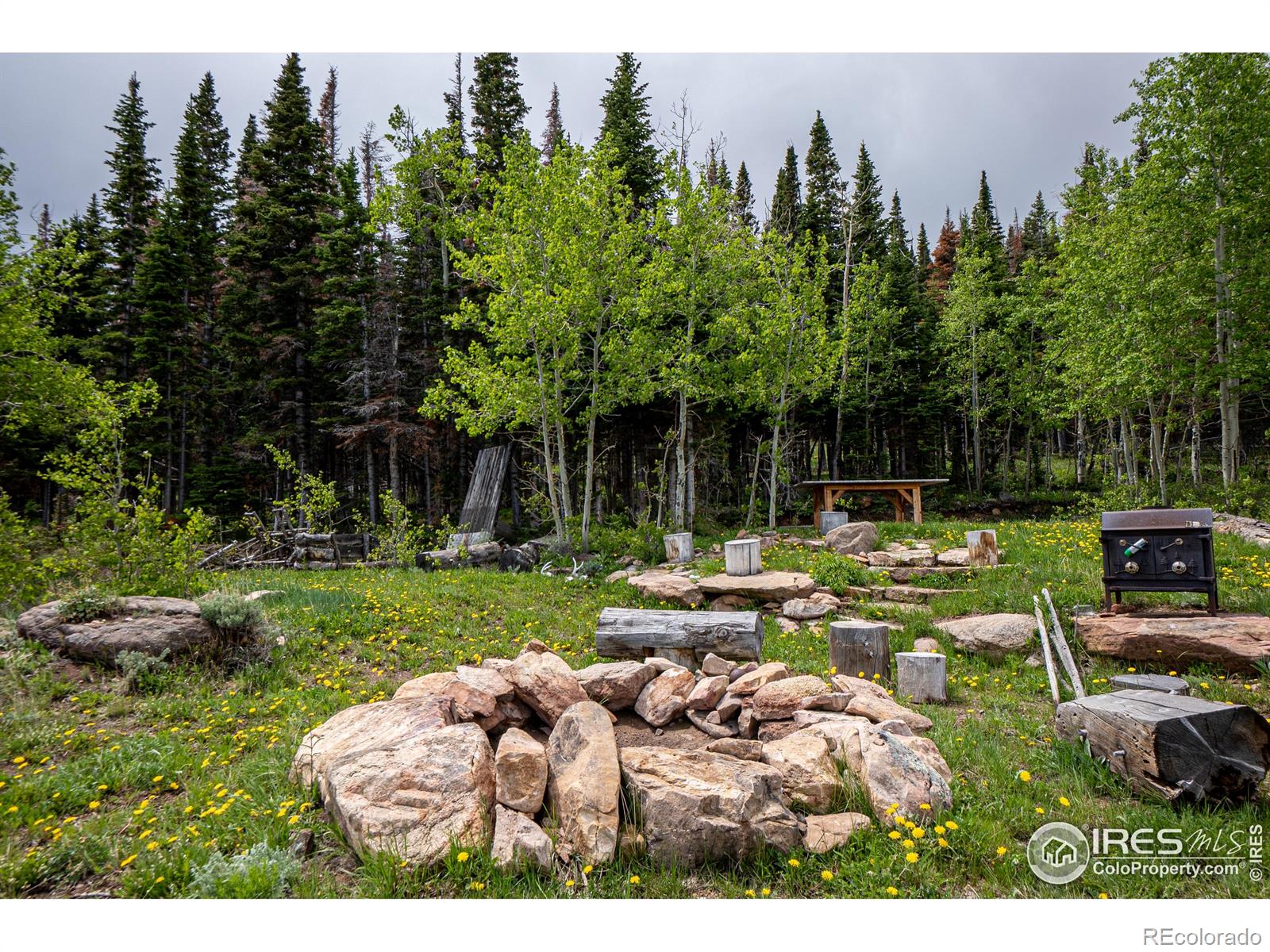 MLS Image #35 for 209  forb lane,red feather lakes, Colorado