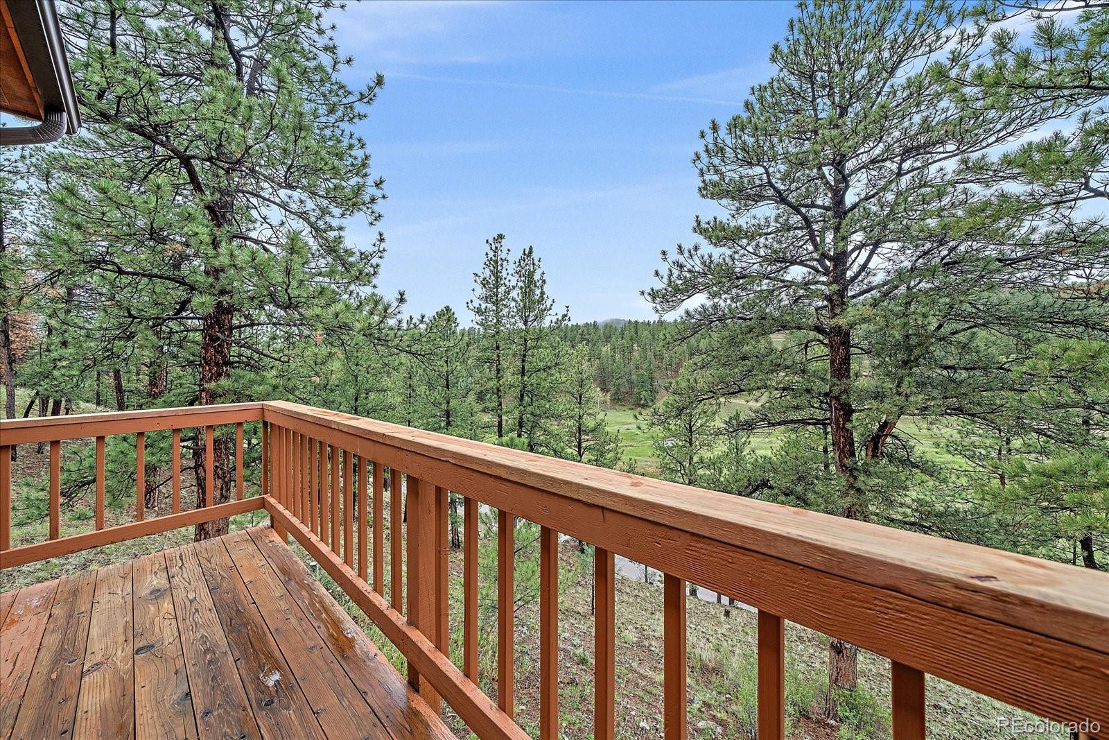 MLS Image #21 for 13340 s cedar circle,pine, Colorado