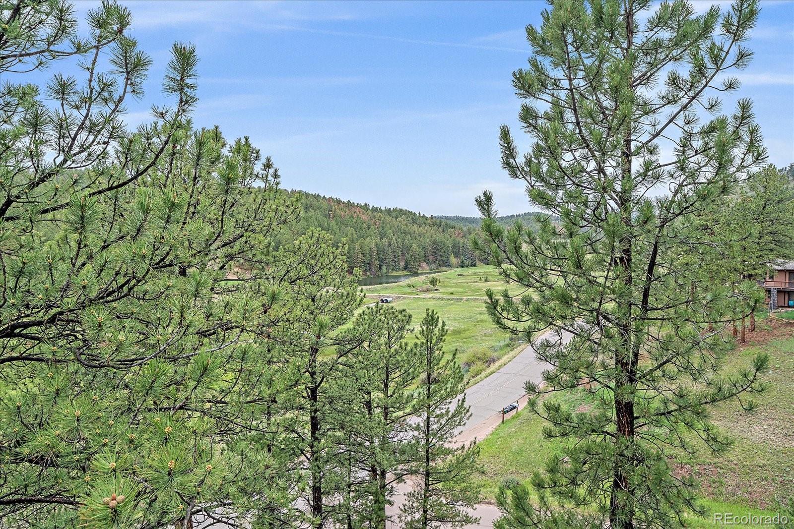 MLS Image #46 for 13340 s cedar circle,pine, Colorado