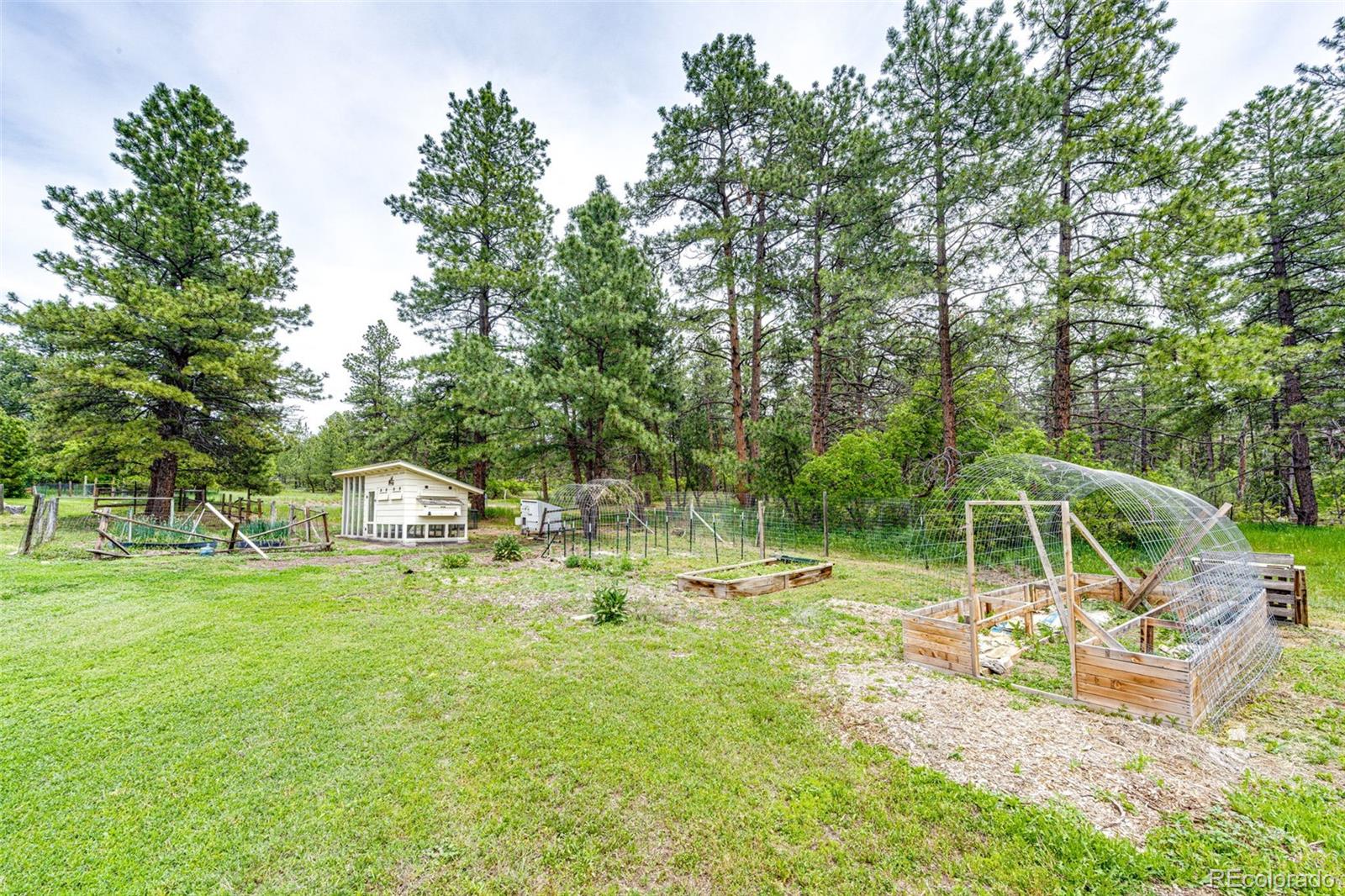 MLS Image #37 for 8788 e tanglewood road,franktown, Colorado