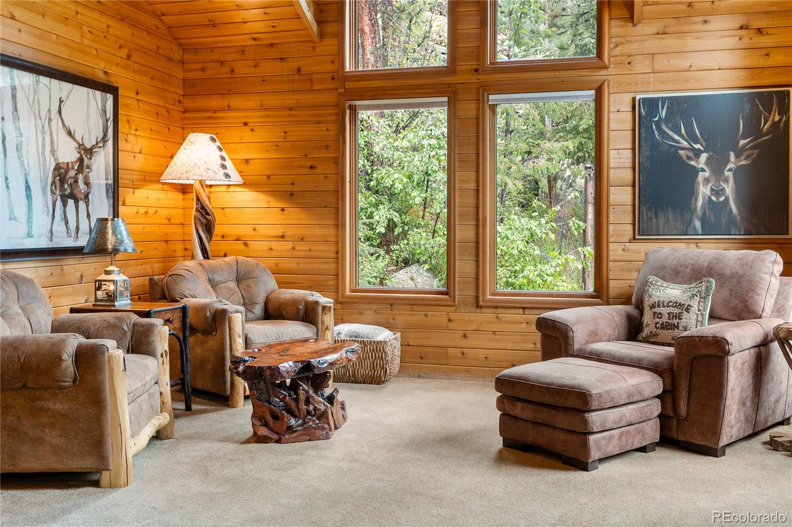 MLS Image #11 for 1491  david drive,estes park, Colorado