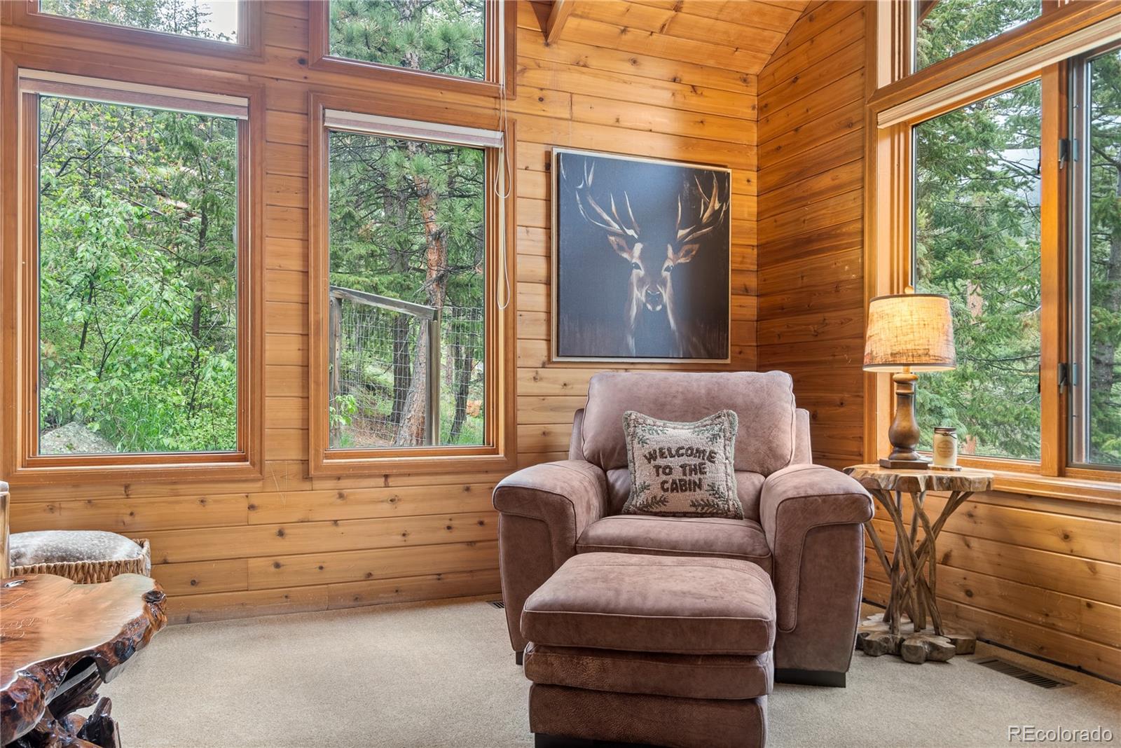 MLS Image #21 for 1491  david drive,estes park, Colorado