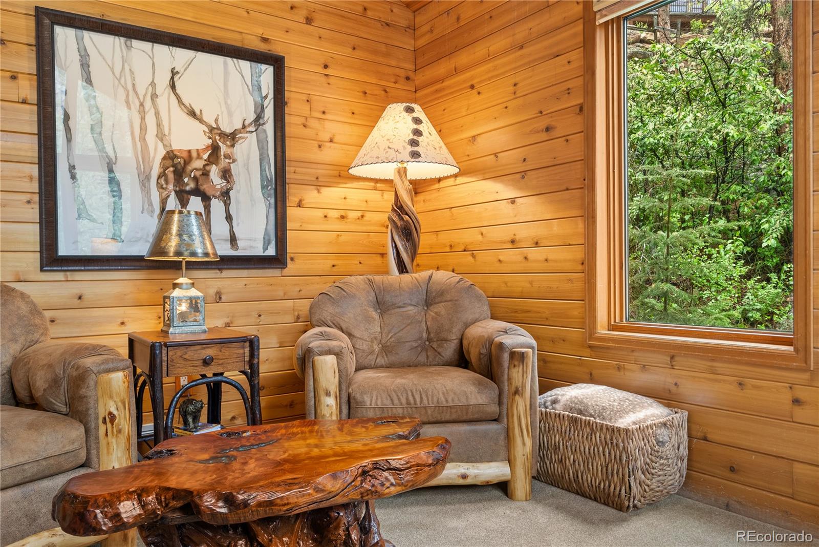 MLS Image #22 for 1491  david drive,estes park, Colorado