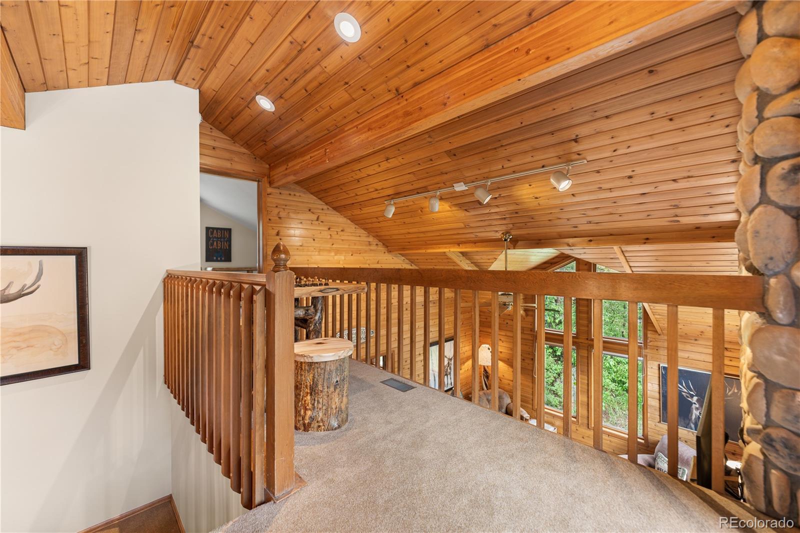 MLS Image #23 for 1491  david drive,estes park, Colorado