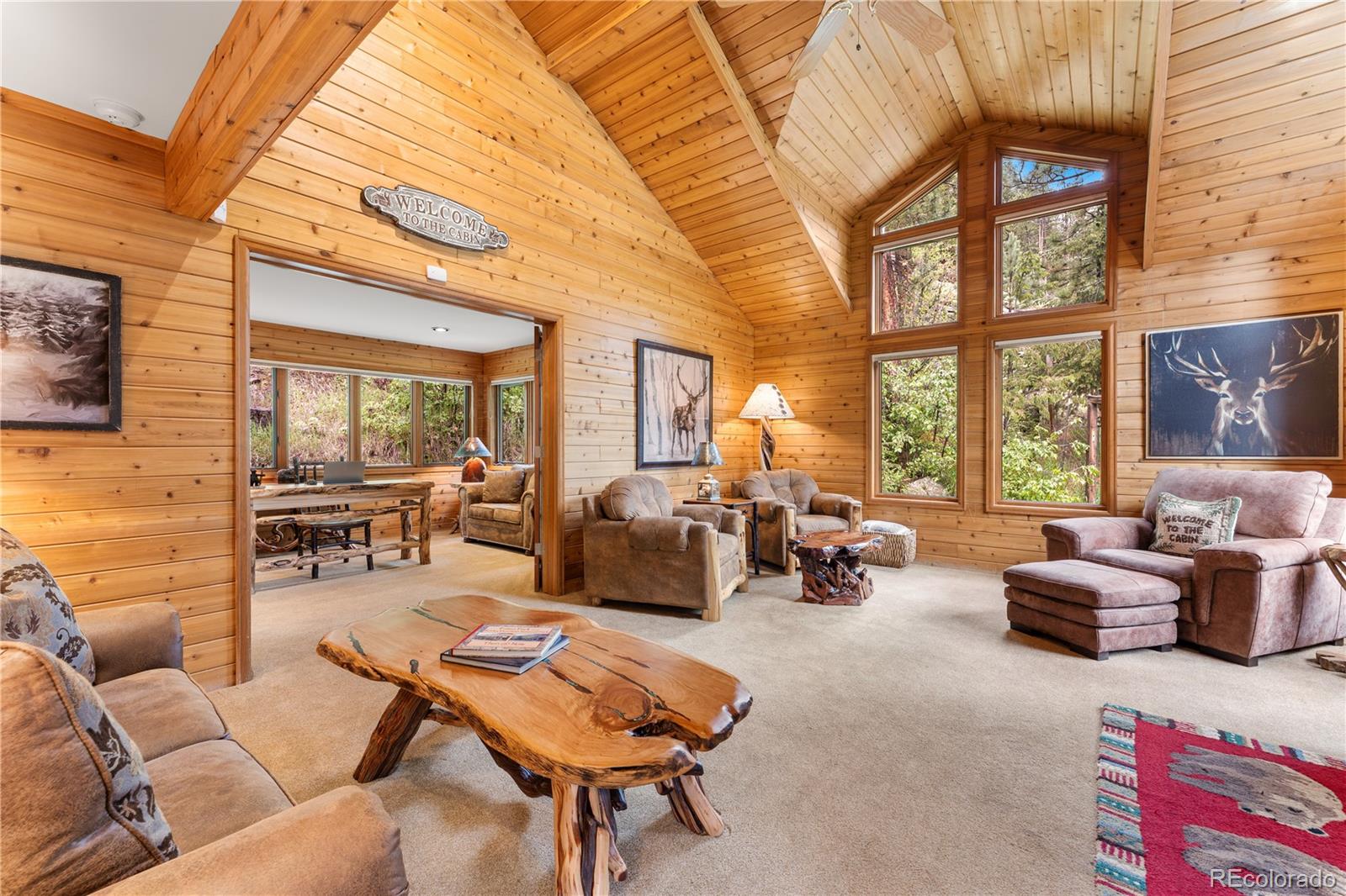 MLS Image #3 for 1491  david drive,estes park, Colorado