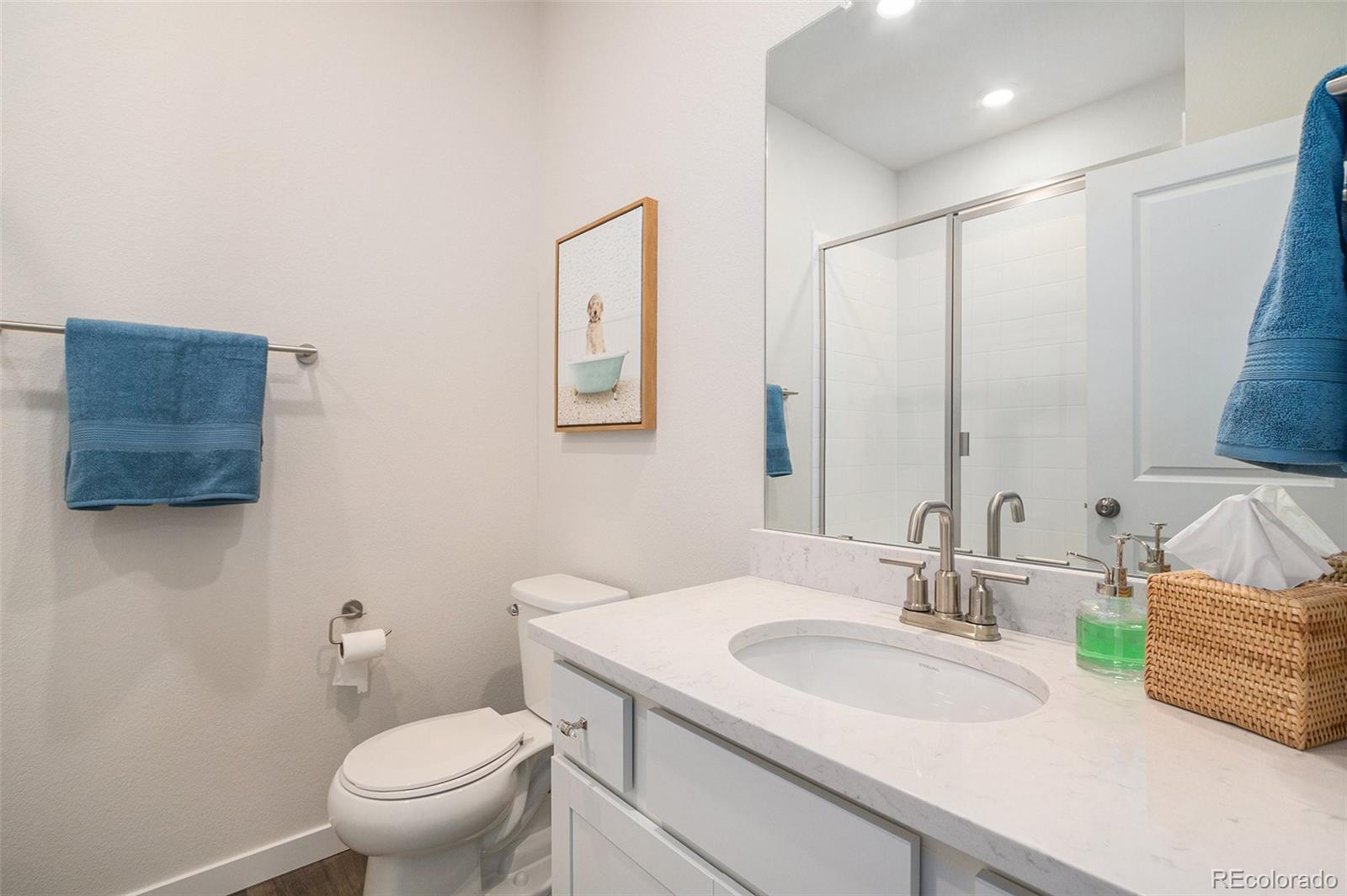 MLS Image #14 for 5805  red barn avenue,longmont, Colorado