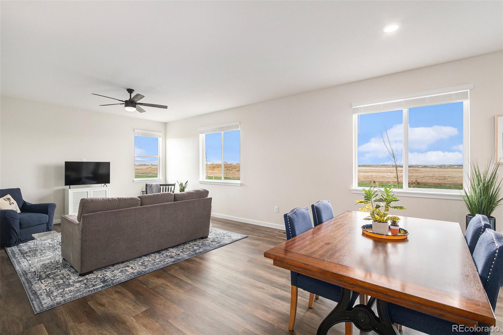 MLS Image #6 for 5805  red barn avenue,longmont, Colorado
