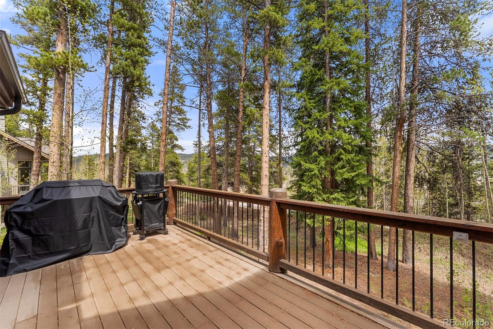 MLS Image #35 for 110  windwood circle,breckenridge, Colorado