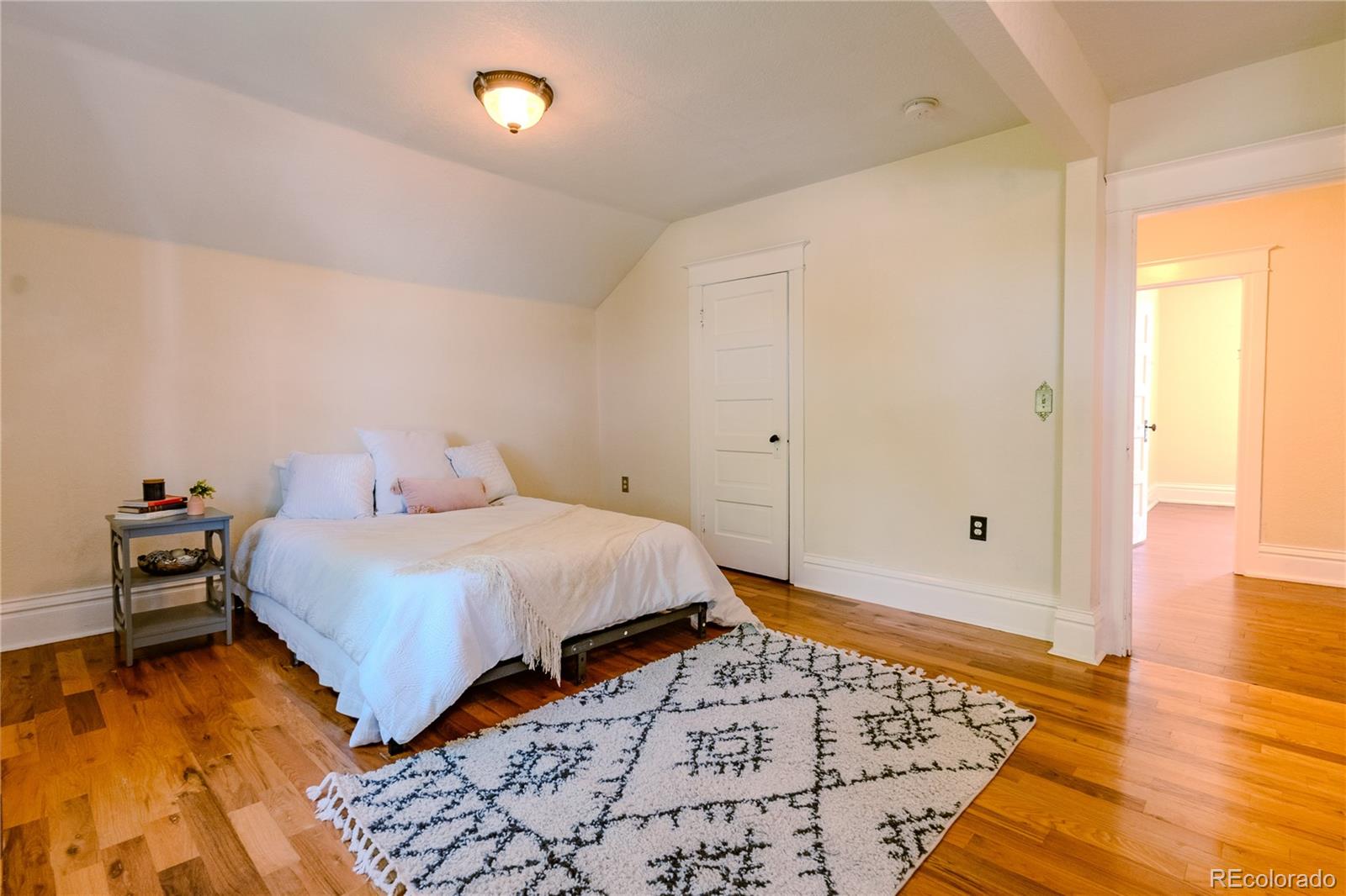 MLS Image #16 for 131  fox street,denver, Colorado