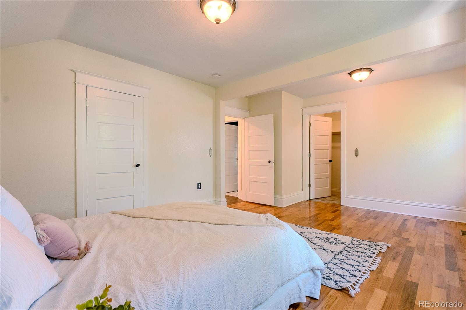 MLS Image #17 for 131  fox street,denver, Colorado