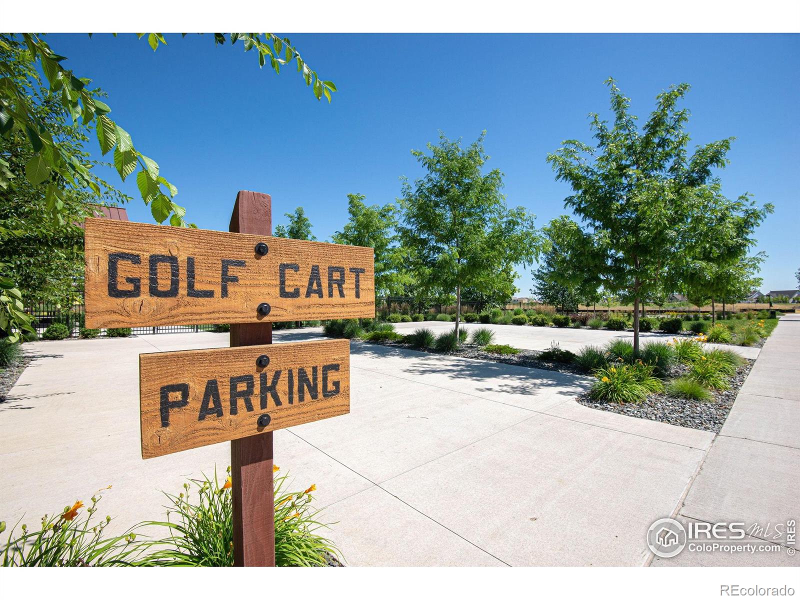MLS Image #34 for 2031  moon rise drive,windsor, Colorado