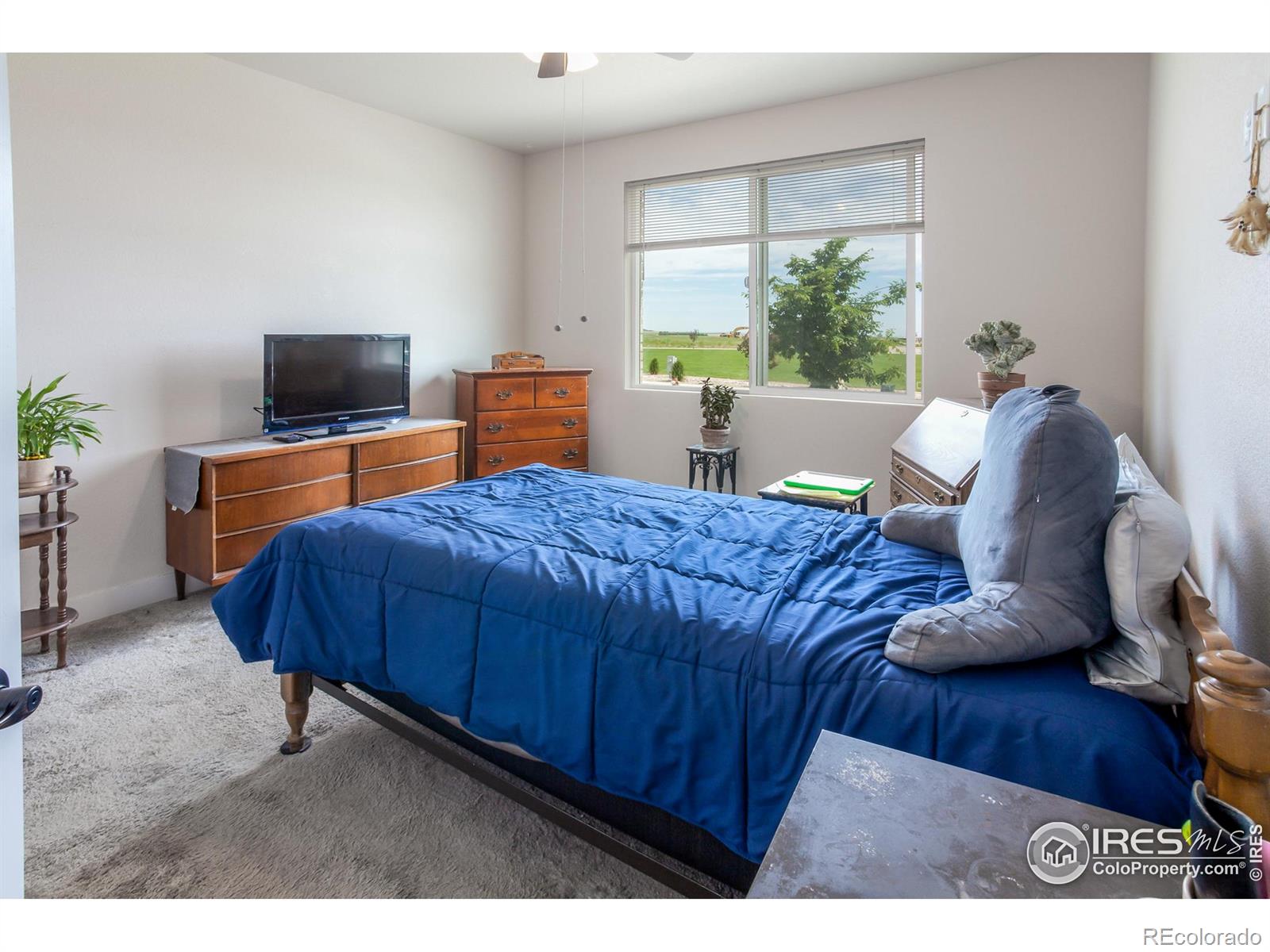 MLS Image #12 for 3238  picasso drive,loveland, Colorado