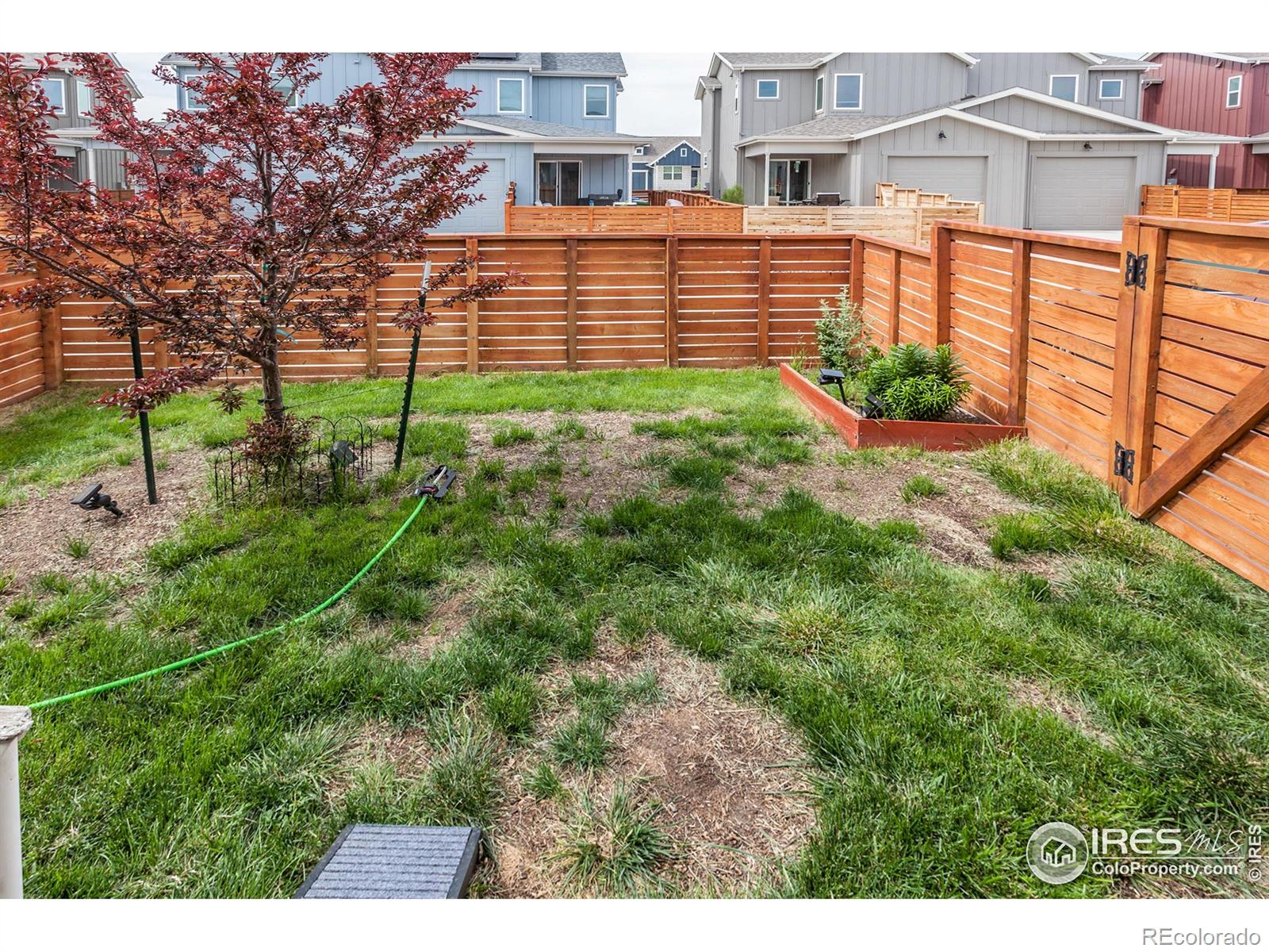 MLS Image #21 for 3238  picasso drive,loveland, Colorado