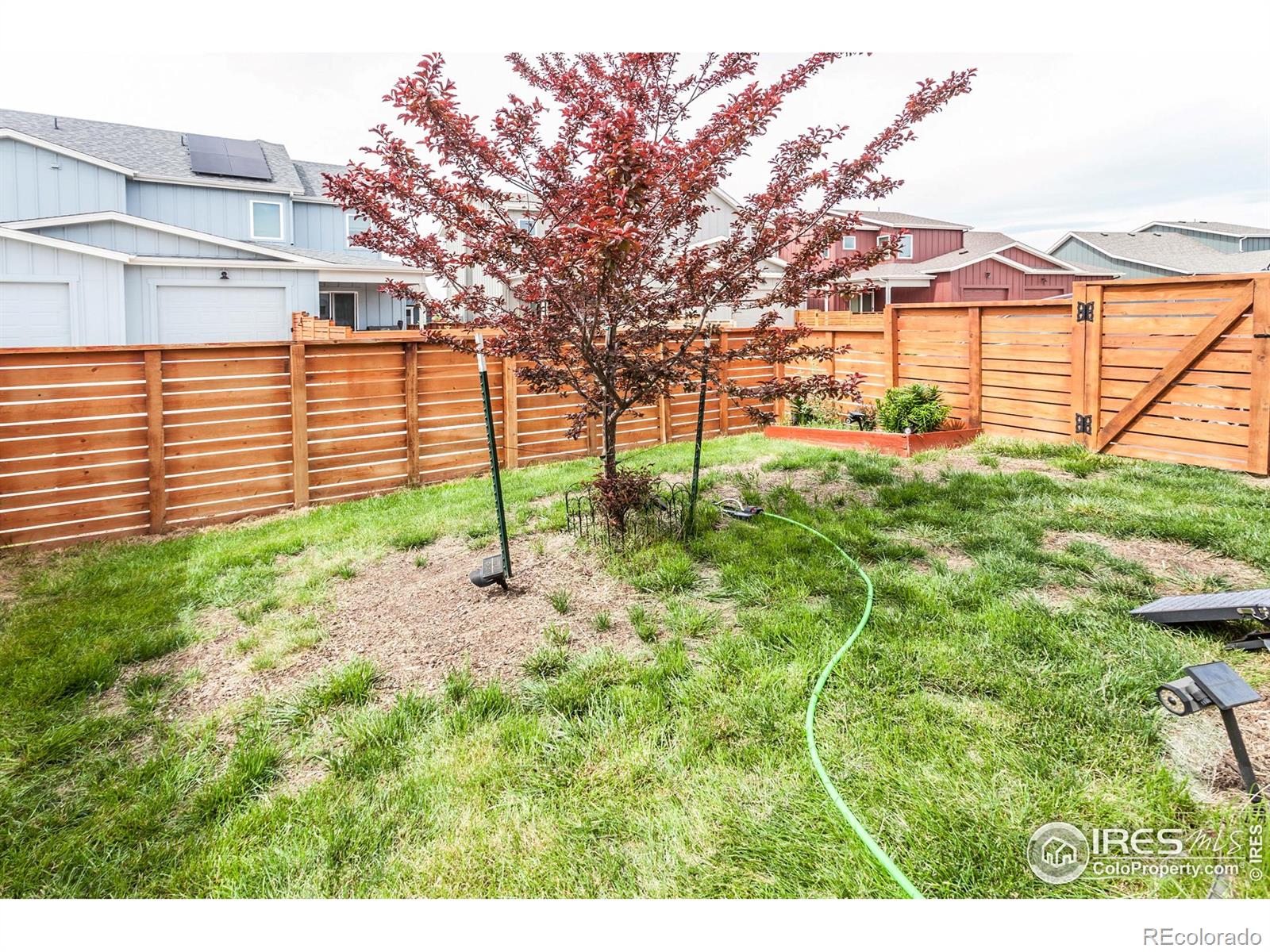 MLS Image #25 for 3238  picasso drive,loveland, Colorado