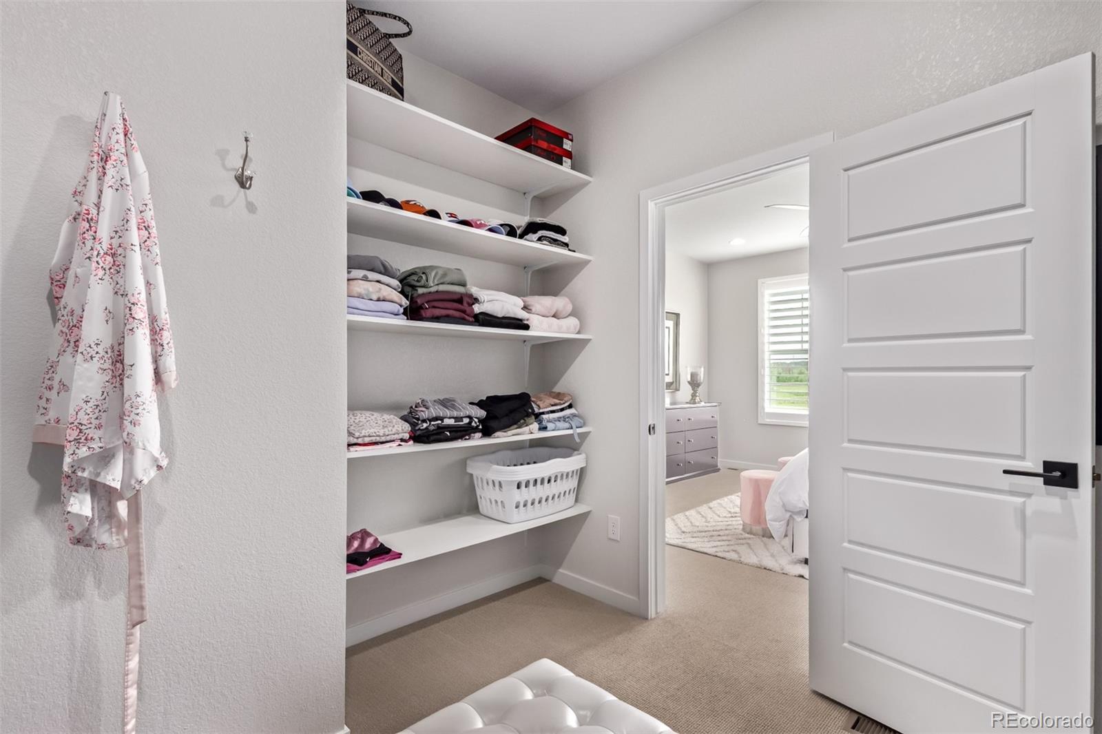 MLS Image #31 for 14998  cast pebble circle,parker, Colorado