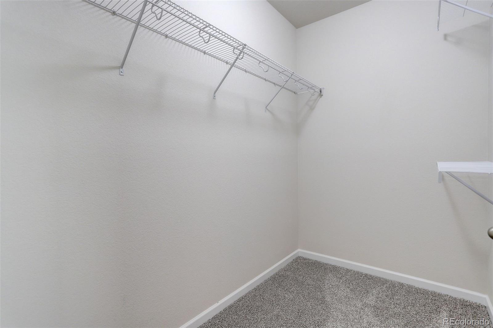 MLS Image #22 for 1462  raindrop way,castle rock, Colorado
