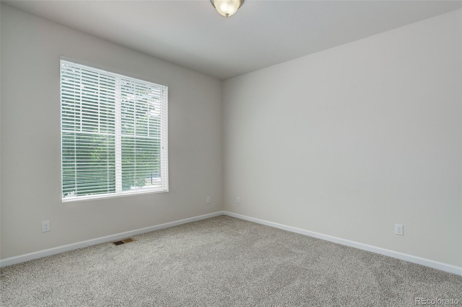MLS Image #5 for 1462  raindrop way,castle rock, Colorado