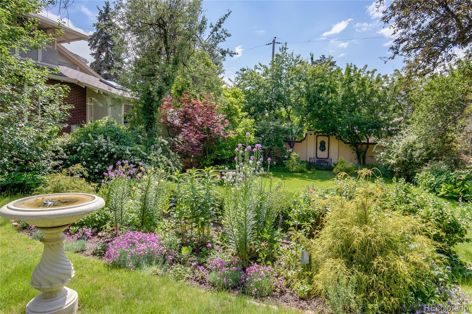 MLS Image #5 for 199  lafayette street,denver, Colorado