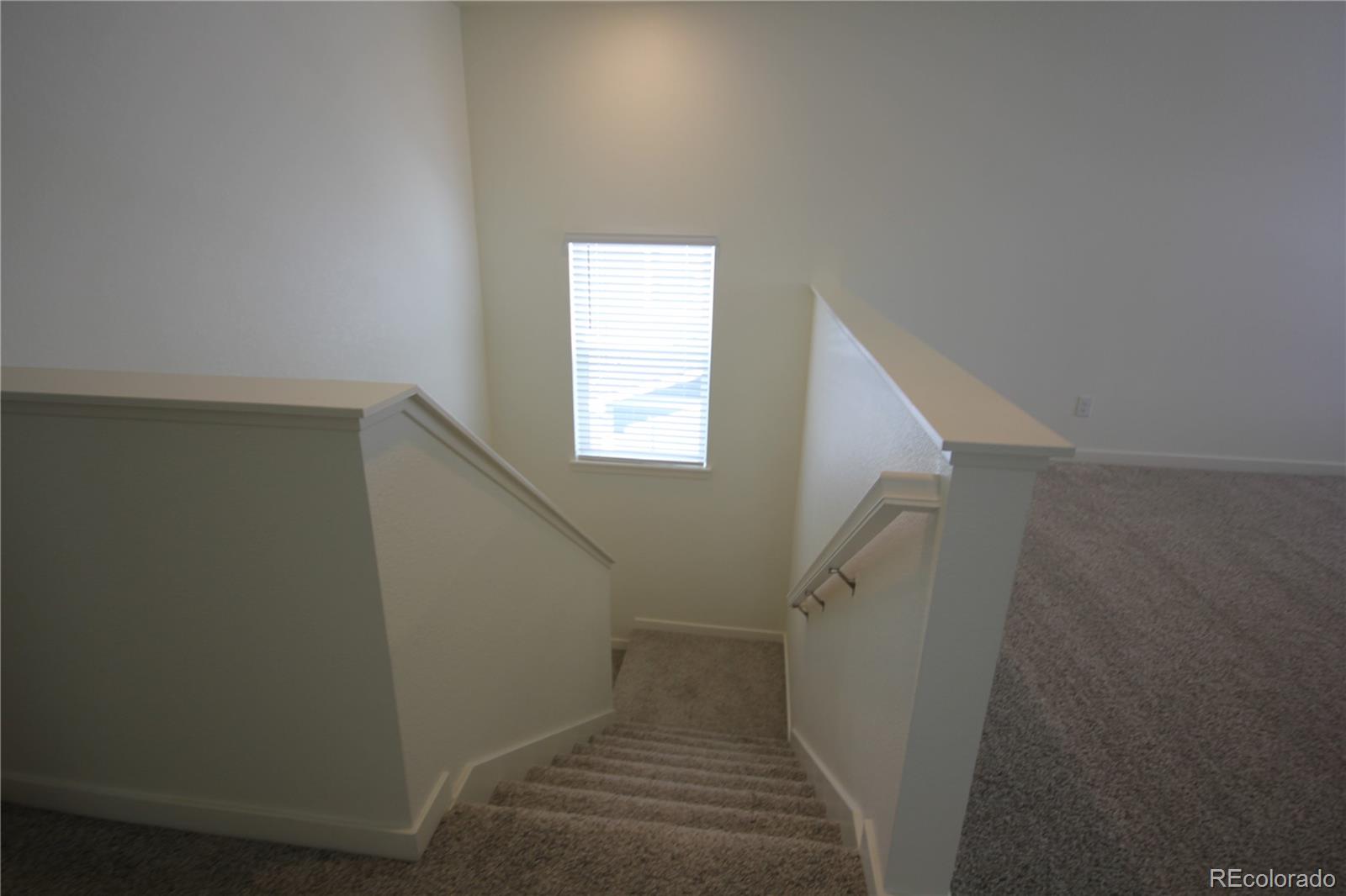 MLS Image #26 for 4955  trails edge lane,castle rock, Colorado