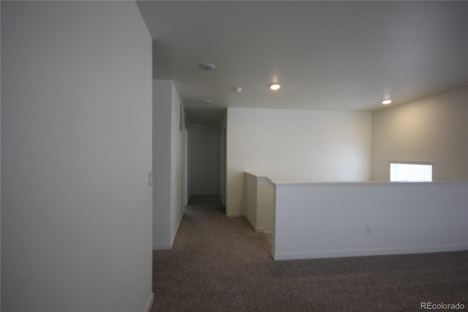 MLS Image #27 for 4955  trails edge lane,castle rock, Colorado