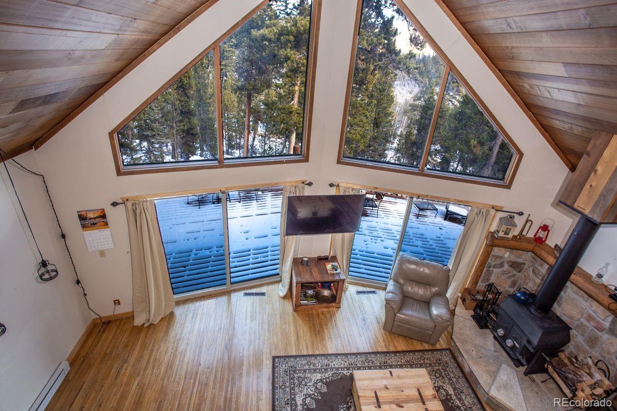 MLS Image #1 for 204  ski doo road,fairplay, Colorado