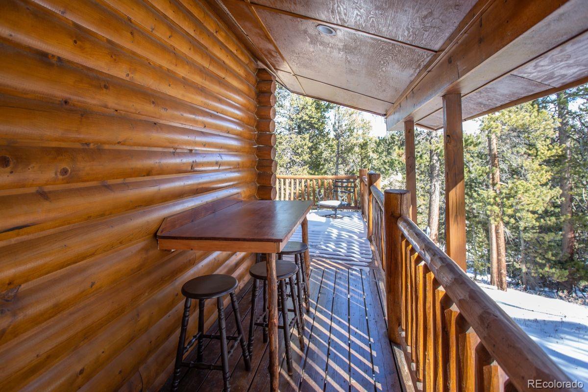 MLS Image #13 for 204  ski doo road,fairplay, Colorado