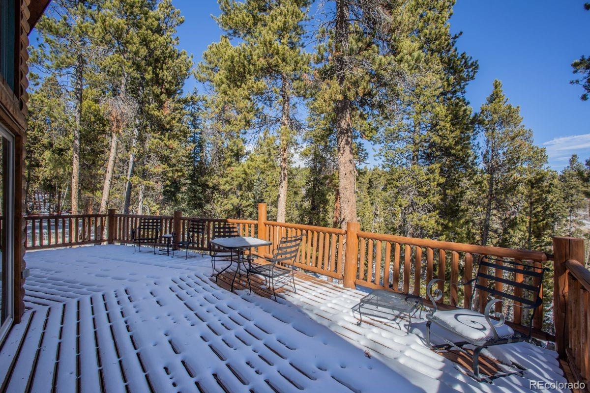 MLS Image #14 for 204  ski doo road,fairplay, Colorado