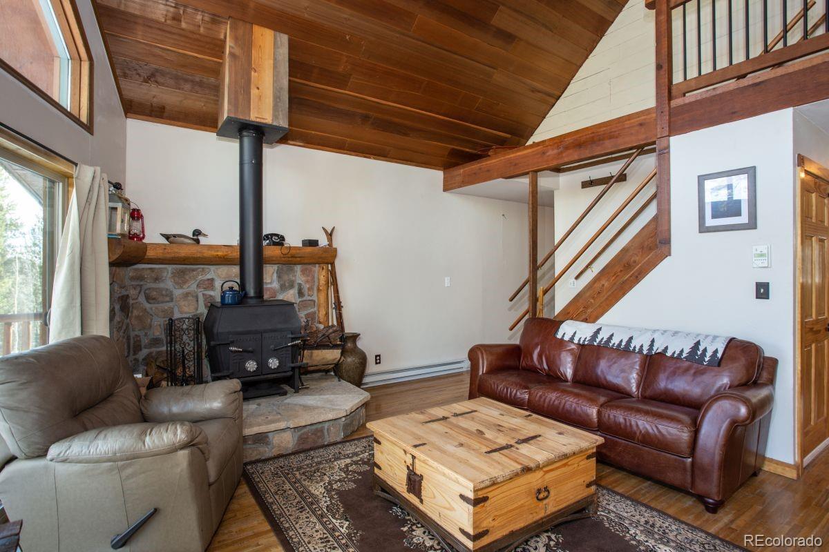 MLS Image #3 for 204  ski doo road,fairplay, Colorado