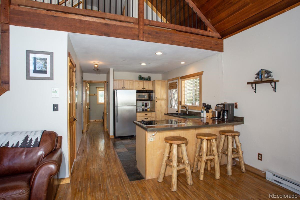MLS Image #5 for 204  ski doo road,fairplay, Colorado