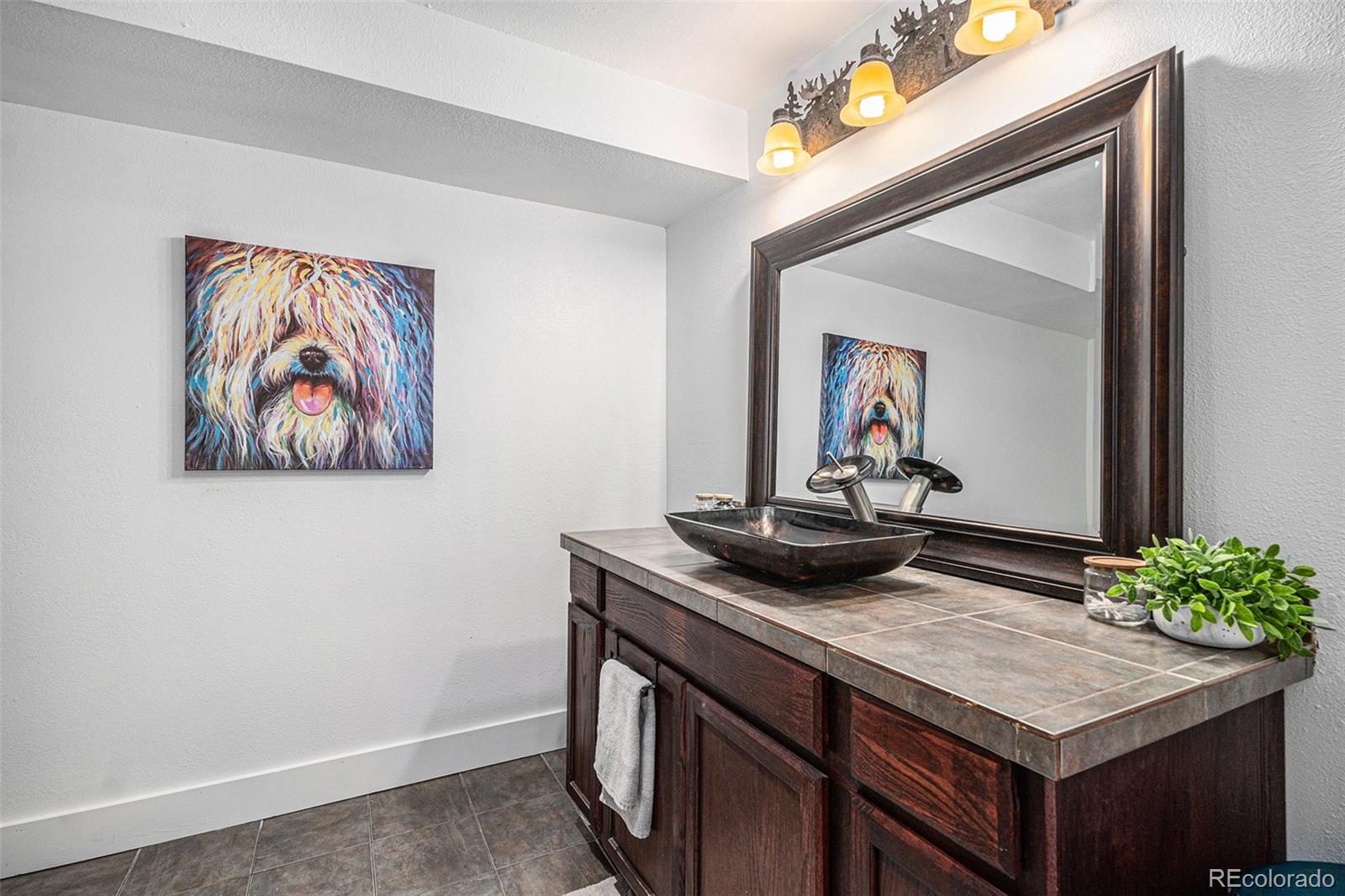 MLS Image #35 for 11681  night heron drive,parker, Colorado