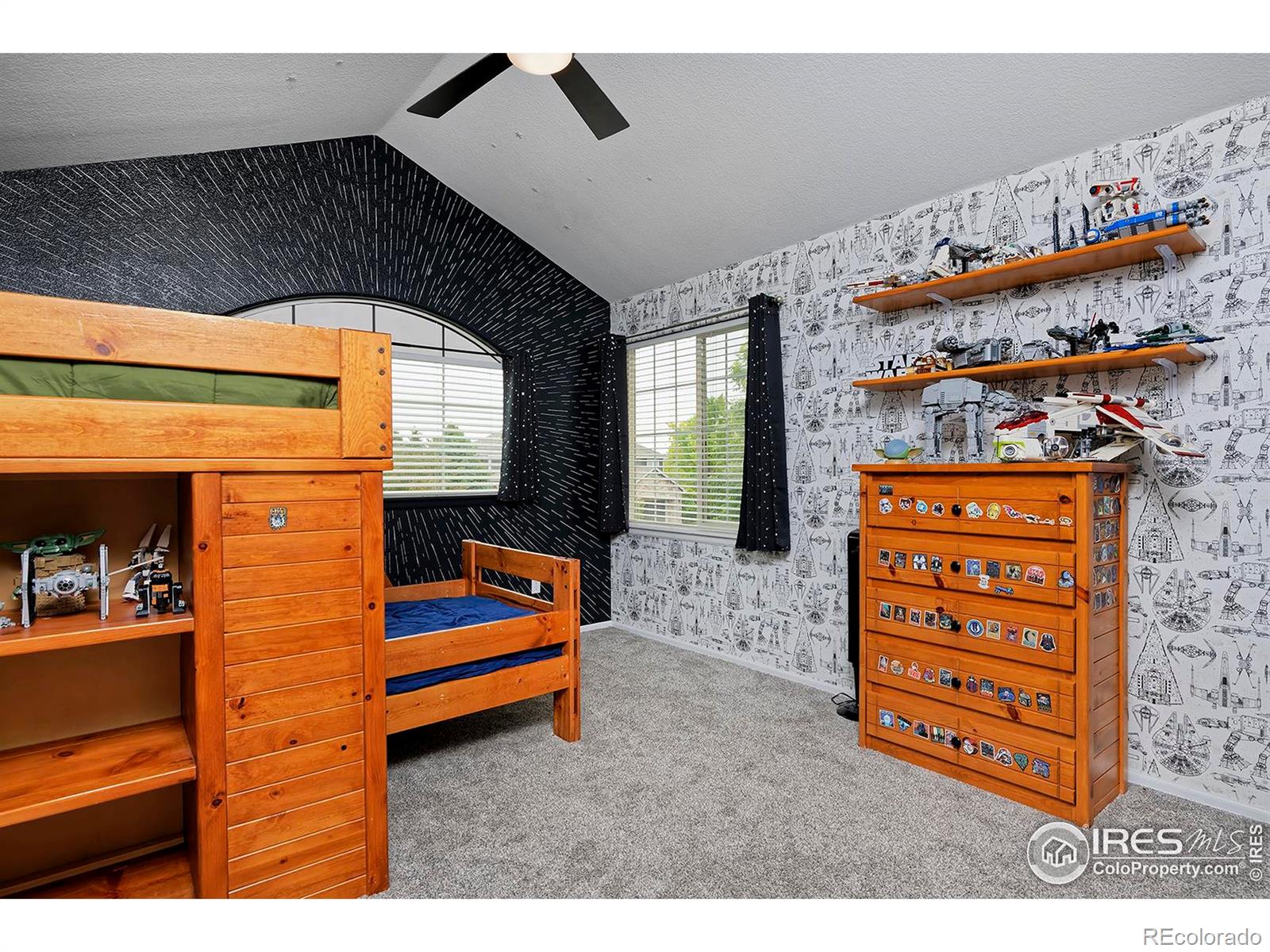MLS Image #23 for 14075  willow wood court,broomfield, Colorado