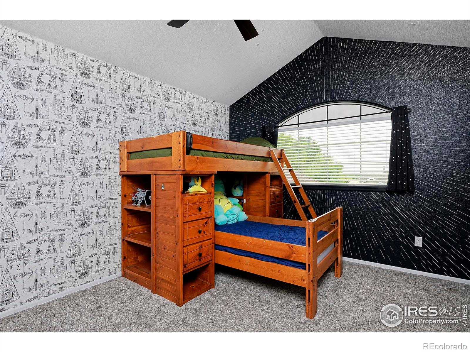 MLS Image #24 for 14075  willow wood court,broomfield, Colorado