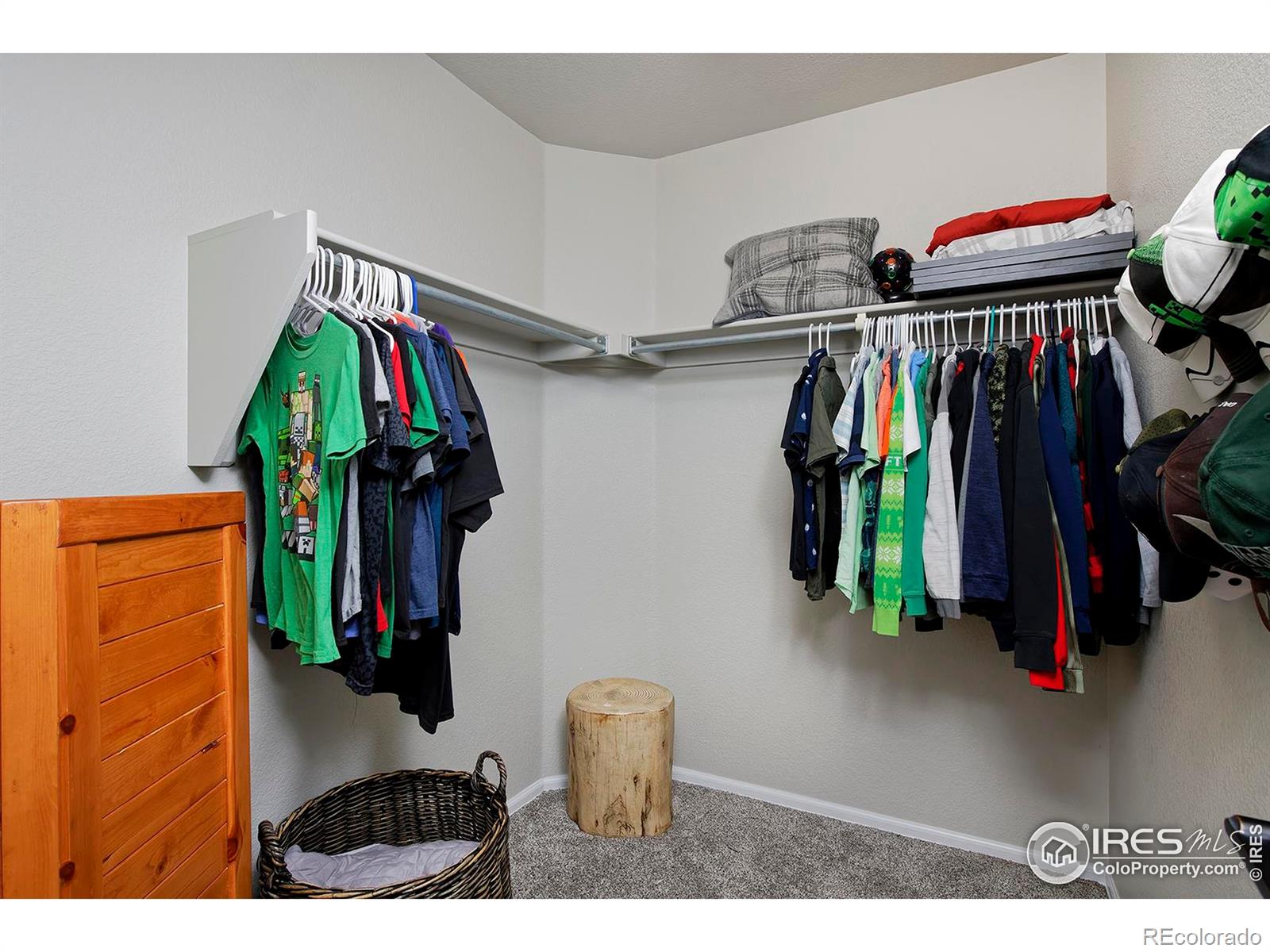 MLS Image #26 for 14075  willow wood court,broomfield, Colorado