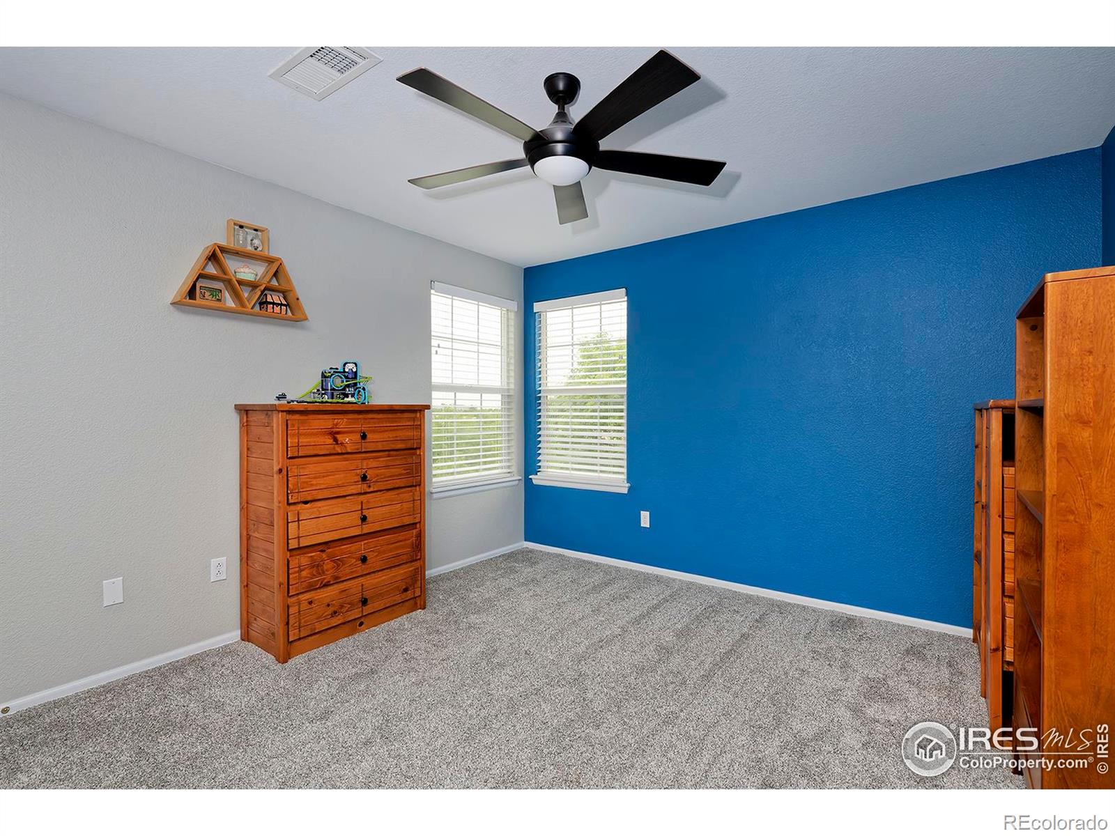 MLS Image #27 for 14075  willow wood court,broomfield, Colorado