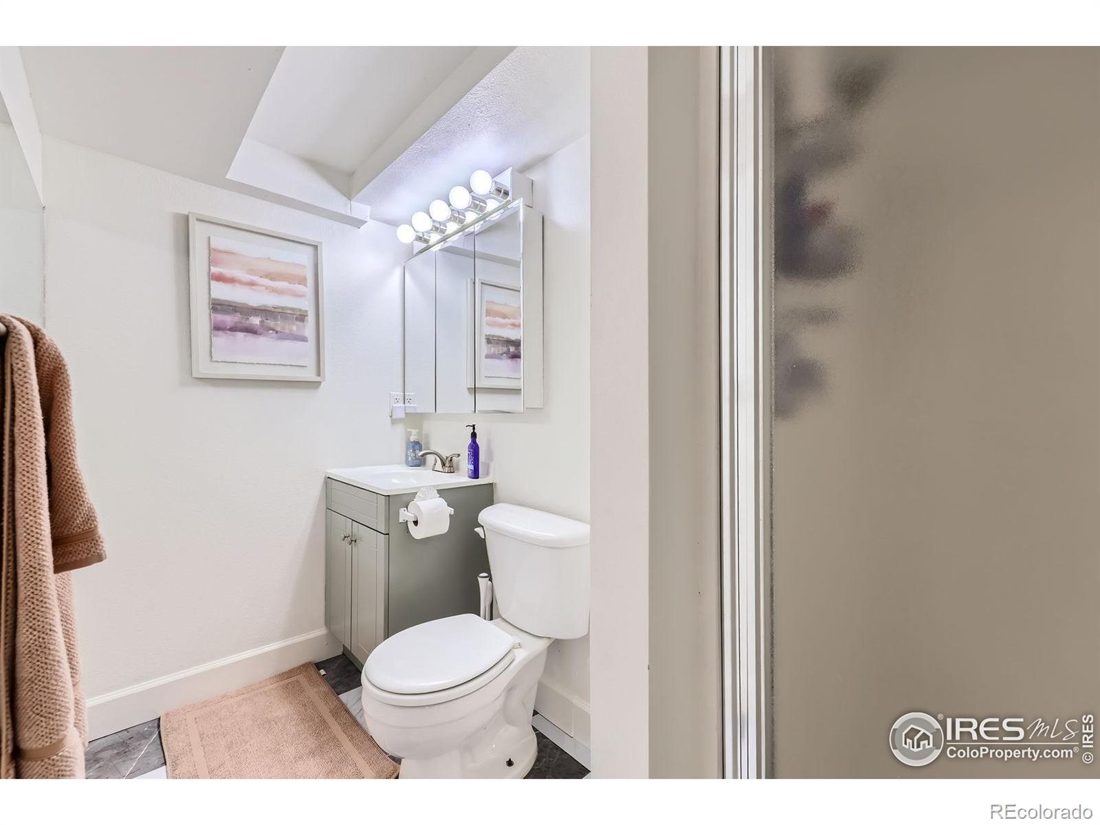 MLS Image #20 for 7442  jay court,arvada, Colorado