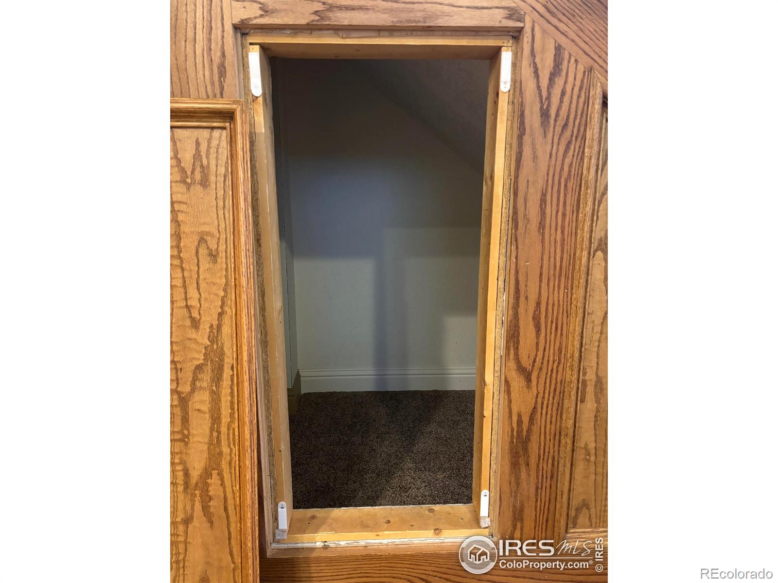 MLS Image #17 for 3931  osage street,denver, Colorado