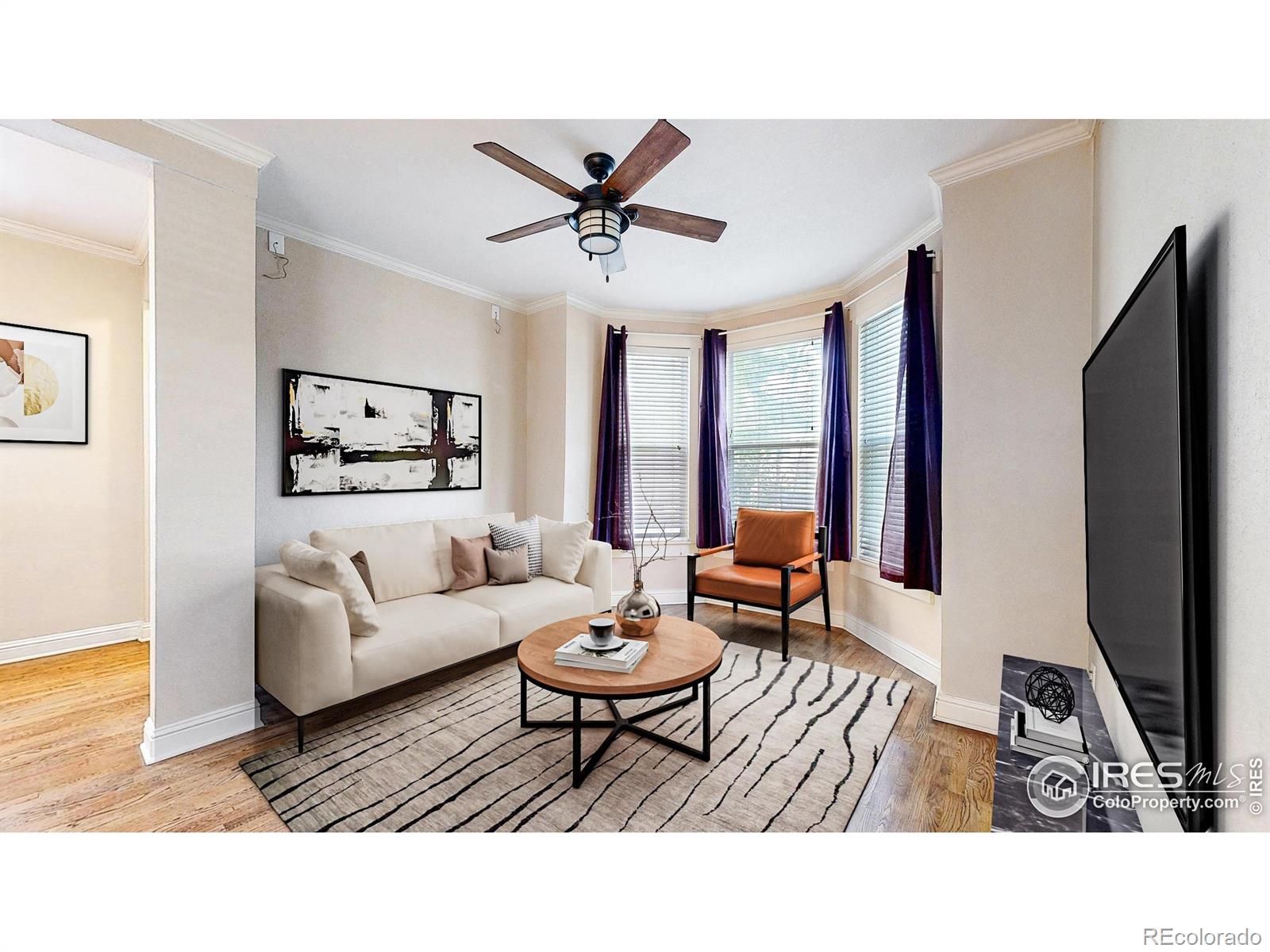 MLS Image #4 for 3931  osage street,denver, Colorado