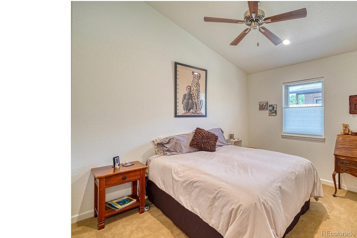 MLS Image #16 for 1104 e ouray avenue,poncha springs, Colorado