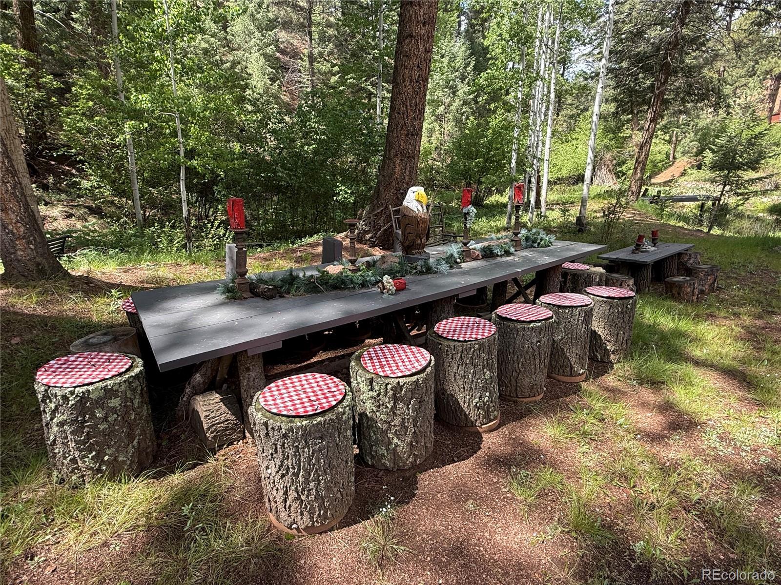 MLS Image #40 for 9716  canon drive,sedalia, Colorado