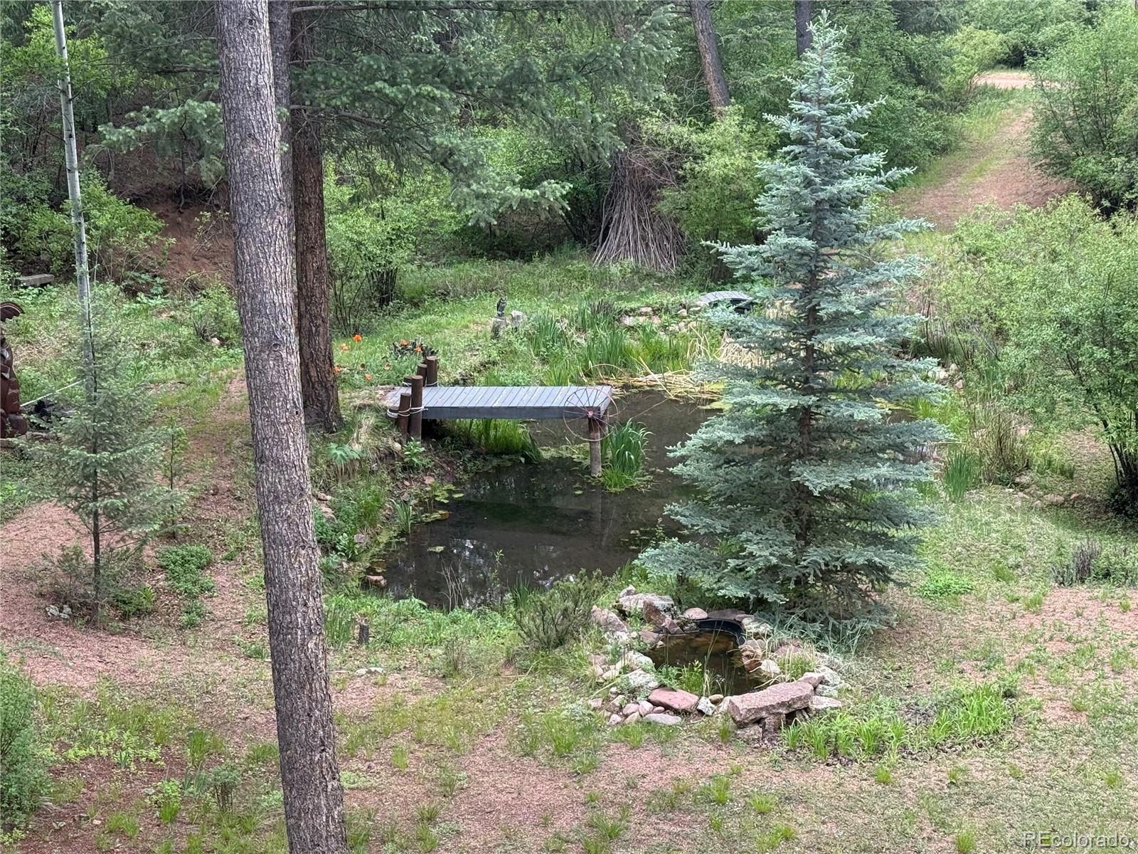 MLS Image #42 for 9716  canon drive,sedalia, Colorado