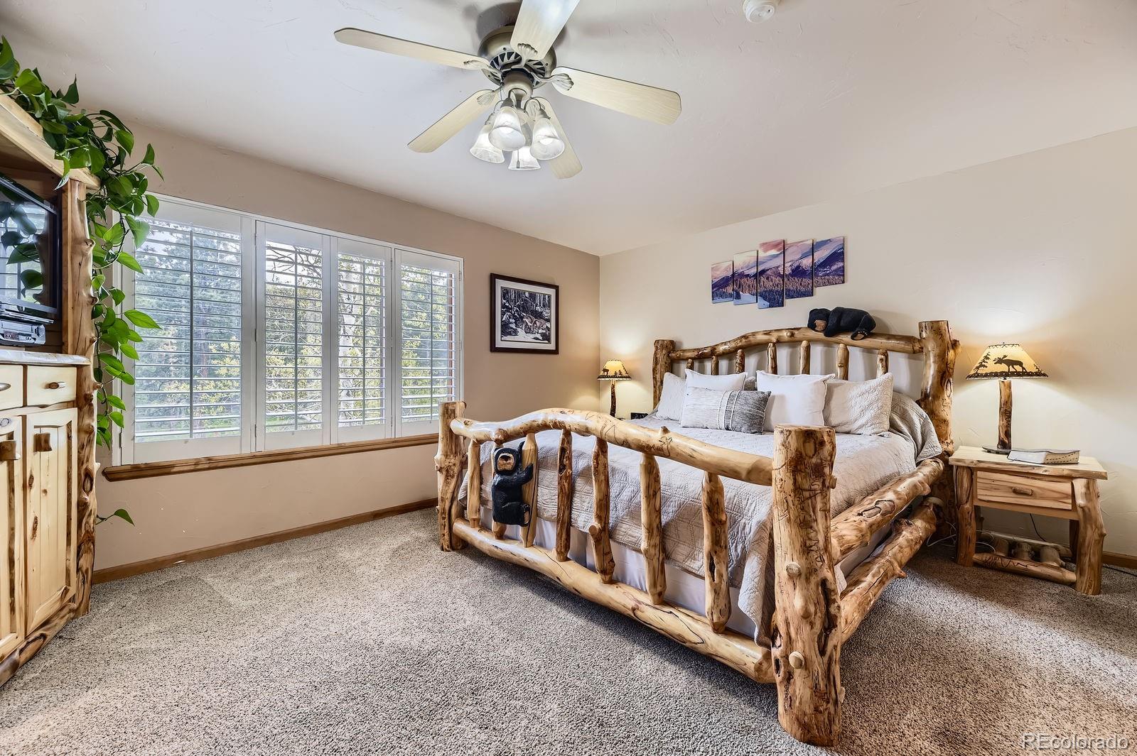 MLS Image #16 for 33799  warren road,pine, Colorado