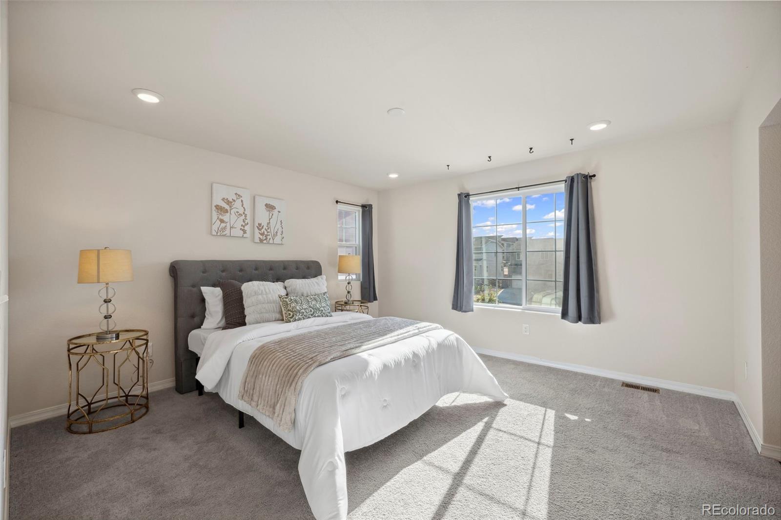 MLS Image #12 for 4644  high springs court,colorado springs, Colorado