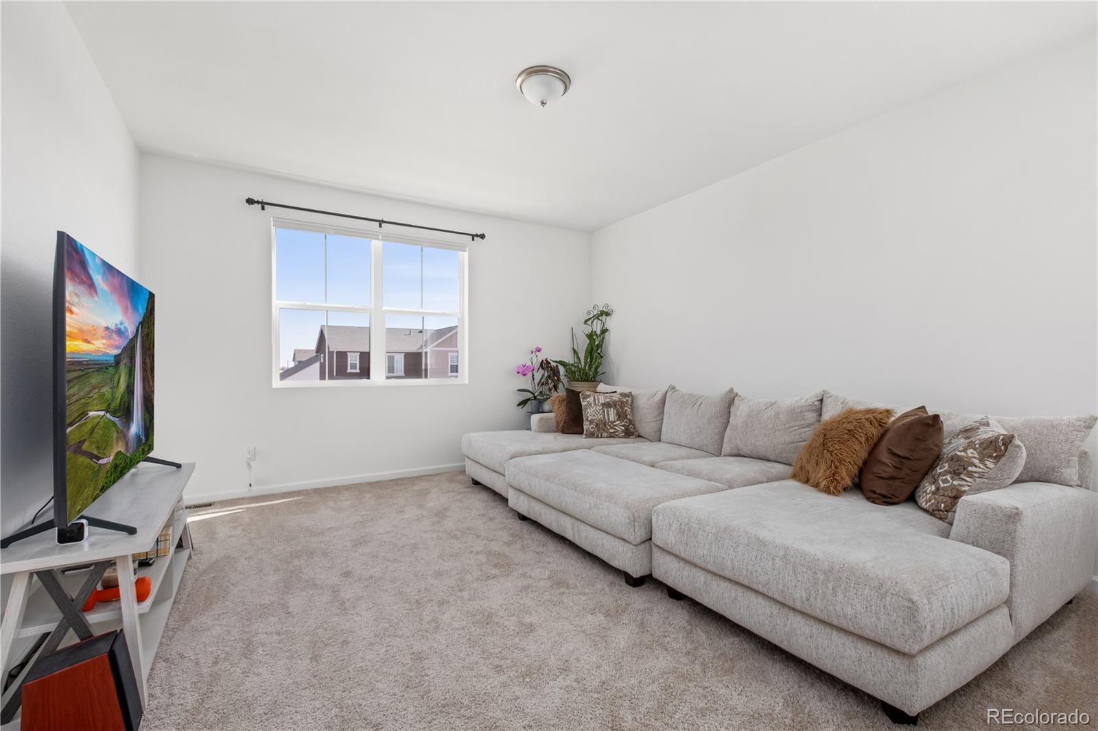 MLS Image #19 for 2443  cottongrass avenue,loveland, Colorado
