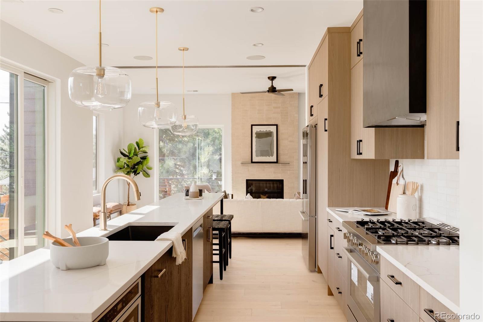 MLS Image #6 for 4481  raleigh street,denver, Colorado