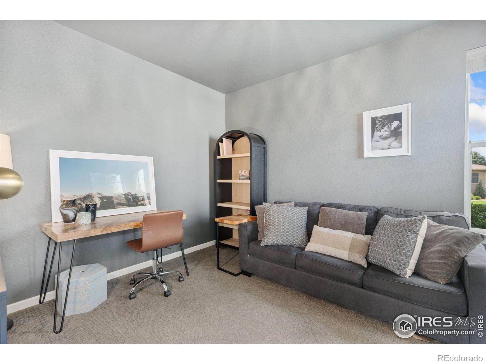 MLS Image #13 for 8199  white owl court,windsor, Colorado