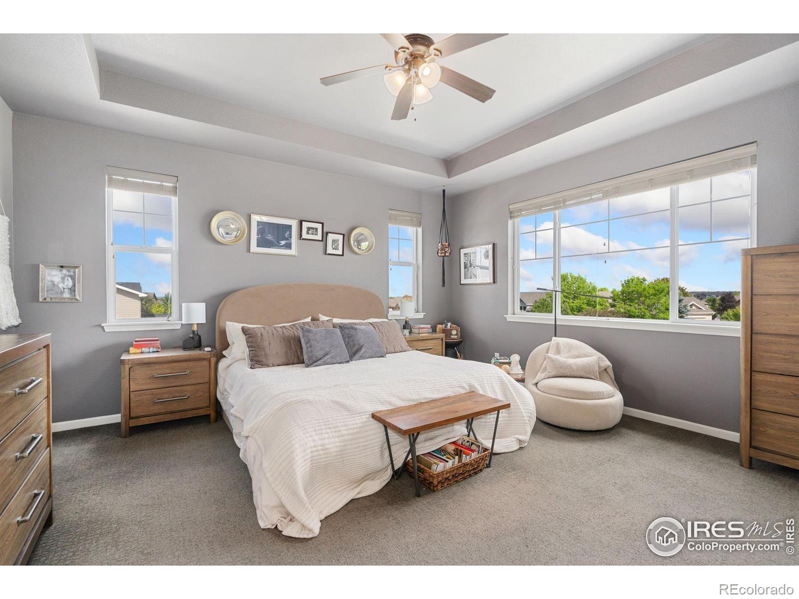MLS Image #15 for 8199  white owl court,windsor, Colorado
