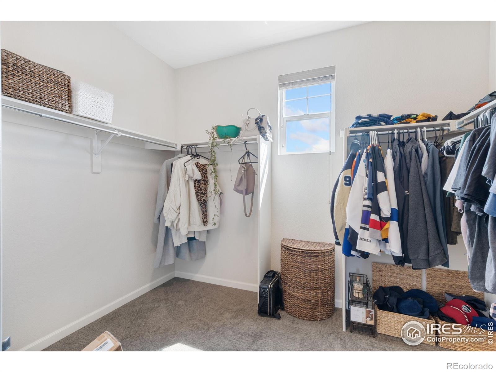 MLS Image #18 for 8199  white owl court,windsor, Colorado